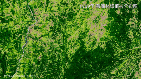 微信图片_20210406171835.gif