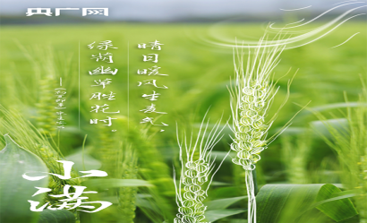 小满｜人生最好是小满，在诗词中领略最美初夏！?