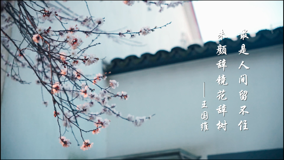 微信图片_20220505094617.png