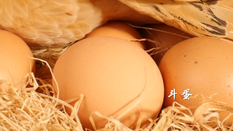 微信图片_20220505094631.png