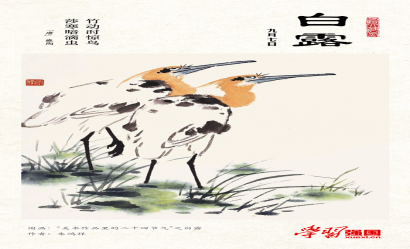 海报：白露
